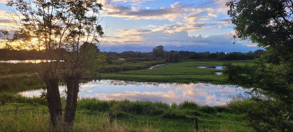 Abendlicht über einer Wiese und einem stillen Gewässer